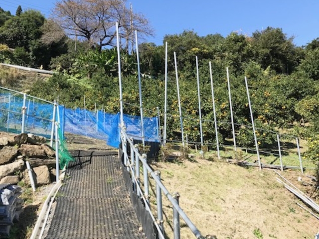 橘香園