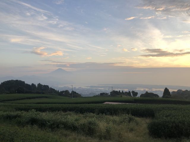 全景の茶の間