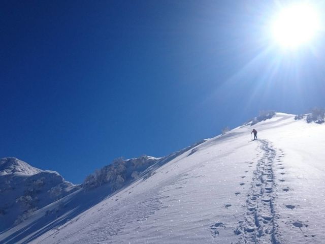 YUZAWA SESSION