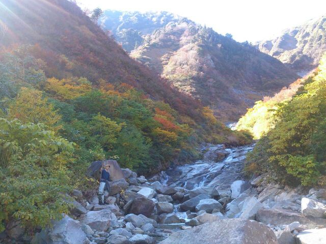 YUZAWA SESSION
