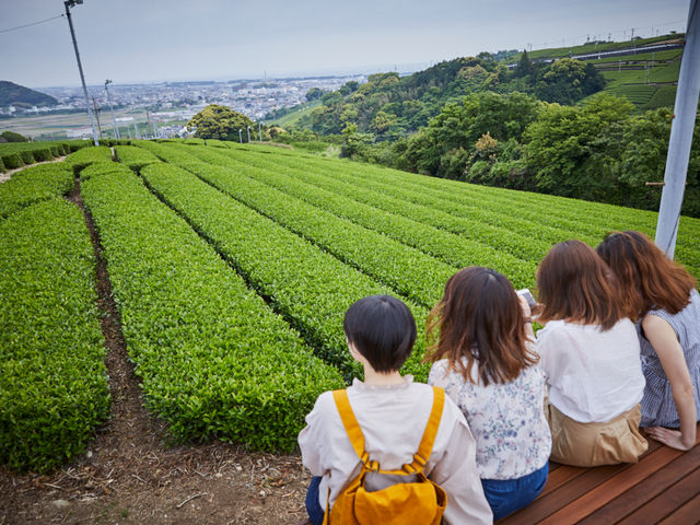 大地の茶の間