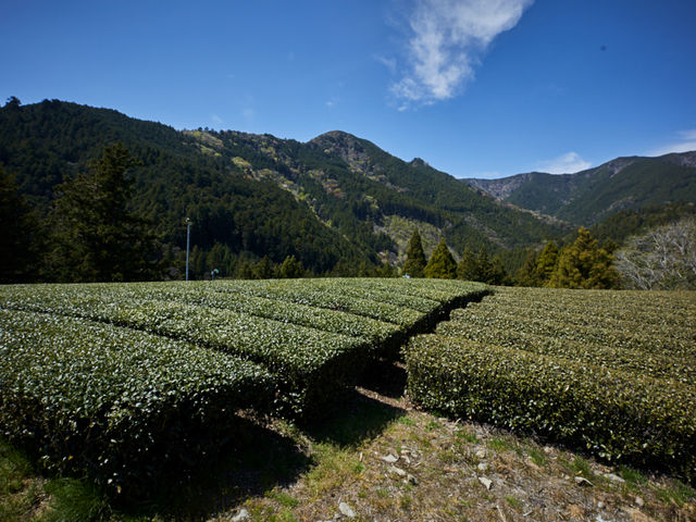里山の茶の間