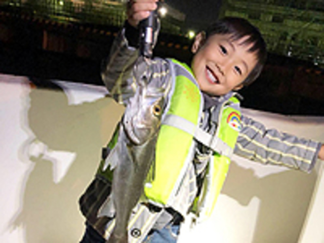 東京近郊でもシーバス(スズキ)はたくさん釣れますよ。_つれドキツアー