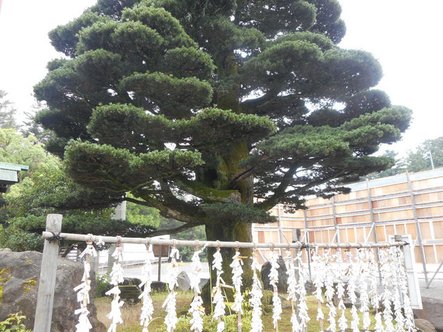 石川護国神社