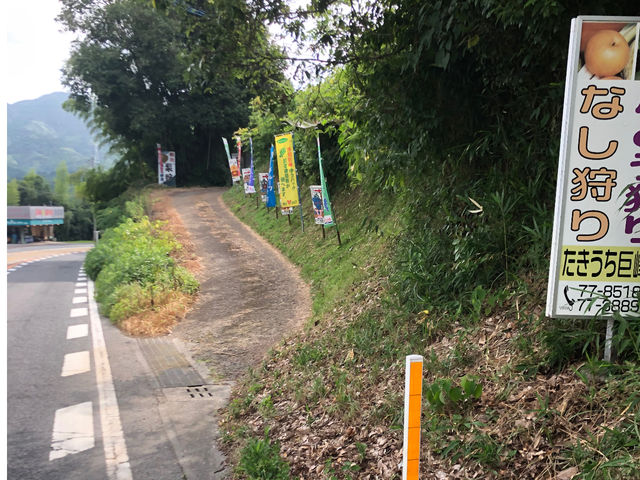 瀧内巨峰園