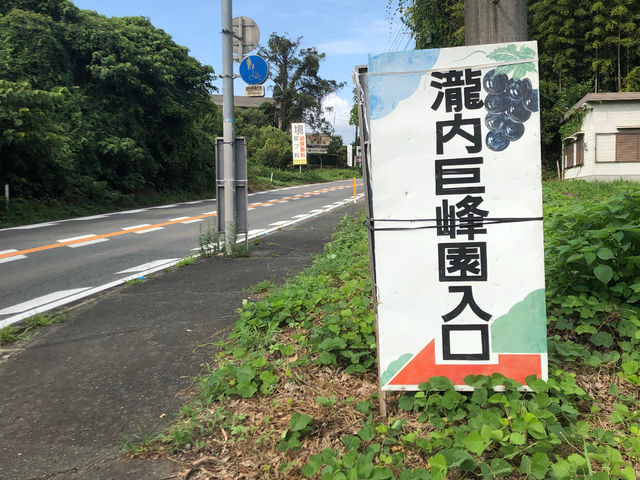 瀧内巨峰園