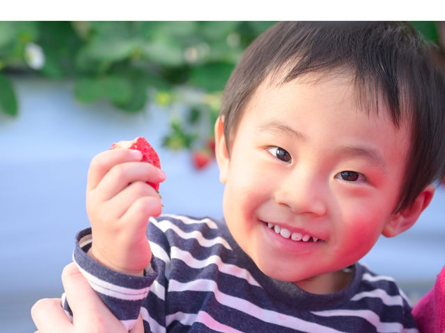 いちごHappyBerry