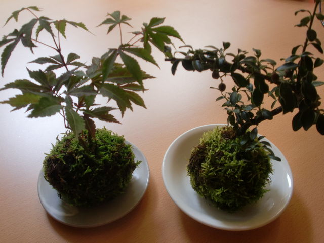 城西館