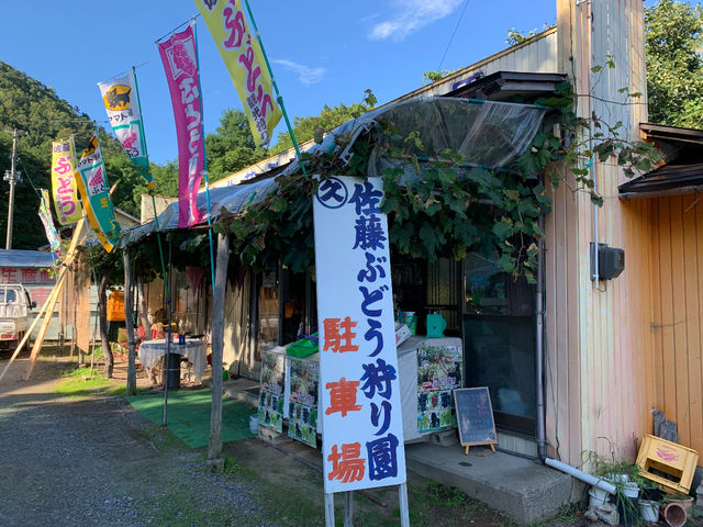 佐藤観光ぶどう狩り園