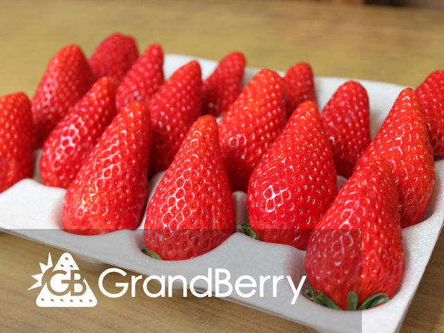 贈答用イチゴも販売しております(^^)_GrandBerry