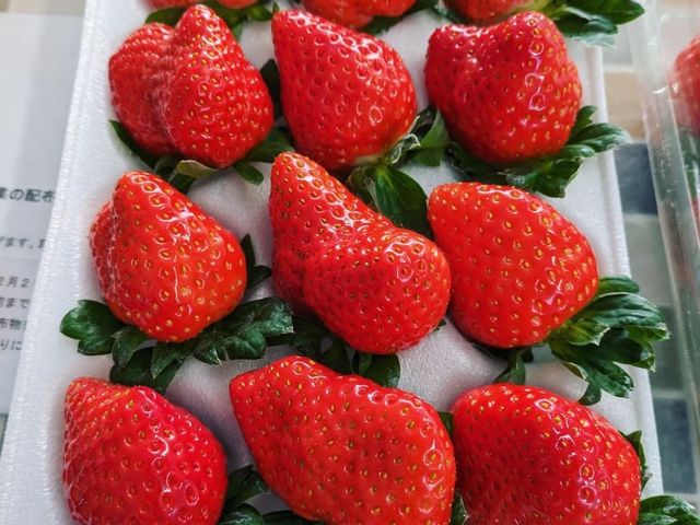 Mama's Berry