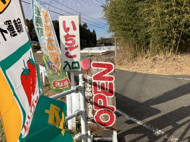 写真のような看板と幟(のぼり)がございますので、こちらの道にお入りください。_Mama's Berry