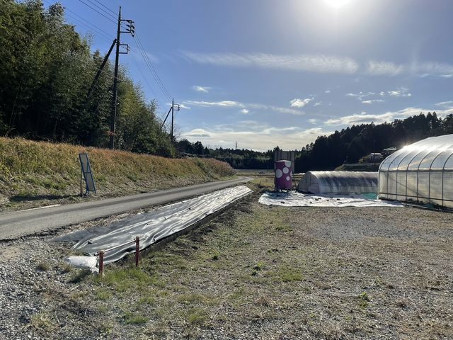 少し進んでいただくと左に分岐する道がございます。そちらがハウスにつながっておりますのでそちらにお進みください。道は狭いので気を付けてお越しください。_Mama's Berry
