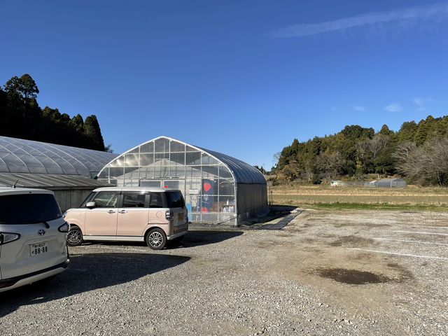 小道を進むとビニールハウスがございます。駐車場は15台ほどありますので白線に沿ってお停めください。写真のビニールハウスが当園の入口です。_Mama's Berry