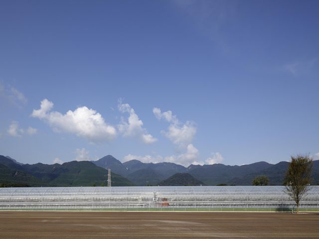 アクアイグニス TSUJIGUCHIFARM