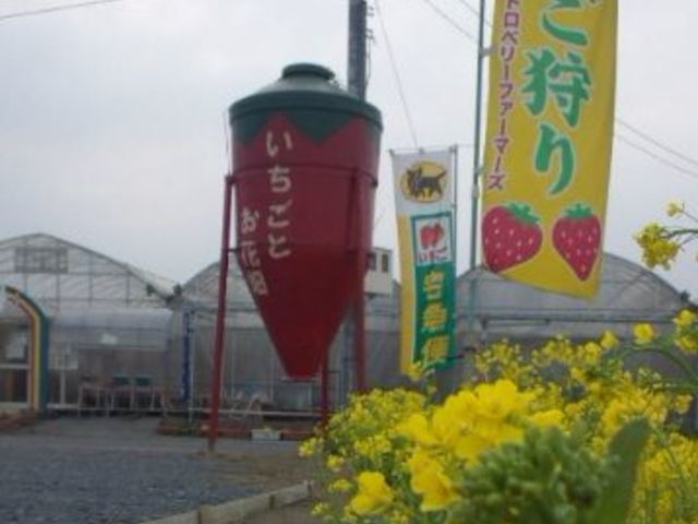いちごとお花畑 志村農園