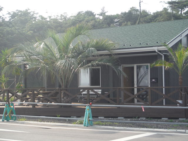 大きなヤシの木が目印☆_サーフショップ マティーズサーフ