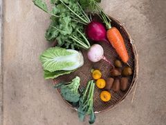 わかばの里の写真1