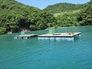 田中渡船 若狭丸の写真3