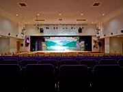 復活の隠れ秘湯〜天然高温泉と大衆演劇 八尾グランドホテルの写真3