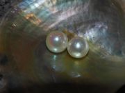 PERLABLUの写真3