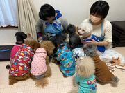 いぬのじかん 大塚店の写真4