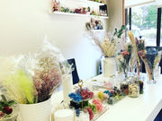 お稽古サロンs&mz里恩の写真3