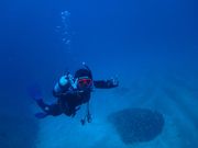 ダイビング教室 ライトハウス町田の写真2