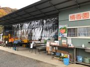 橘香園の写真3