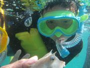 特定非営利活動法人黒潮実感センターの写真4