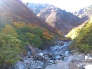 YUZAWA SESSIONの写真3