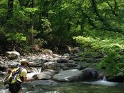 YUZAWA SESSIONの写真4
