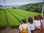 大地の茶の間の写真3