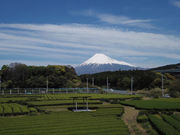 富士の茶の間の写真3