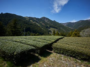 里山の茶の間の写真3