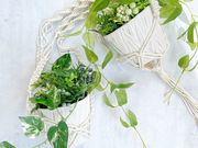 エフカレンの写真3