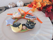 M's paletteの写真2