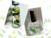 AromaSchool & Salon エバーラスティングの写真3
