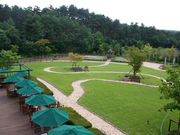 シルバンズの写真2