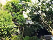 ぶぷれBUPLEの写真2