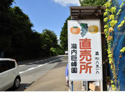 瀧内巨峰園の写真2