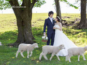 Lizzy Studioの写真3