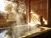 信州しもすわ温泉 ぎん月の写真2