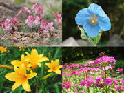 旅する六甲山の写真2