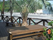 サーフショップ マティーズサーフの写真2