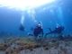DIVE SHOP Juaの写真3