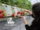 GrandBerryの写真4