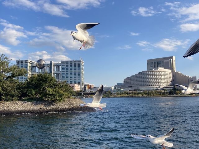 お台場_CRUISE ME 東京湾チャータークルーズ