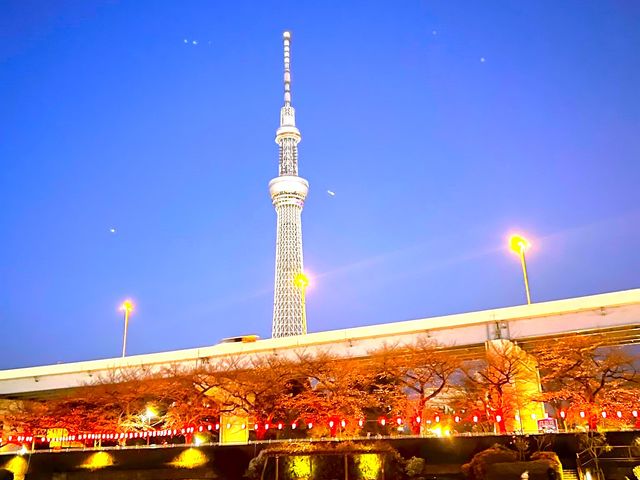 隅田川お花見夜景_CRUISE ME 東京湾チャータークルーズ