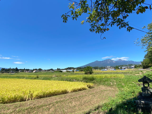 教室の建物の角から、八ヶ岳を眺められます。_発酵クオリア